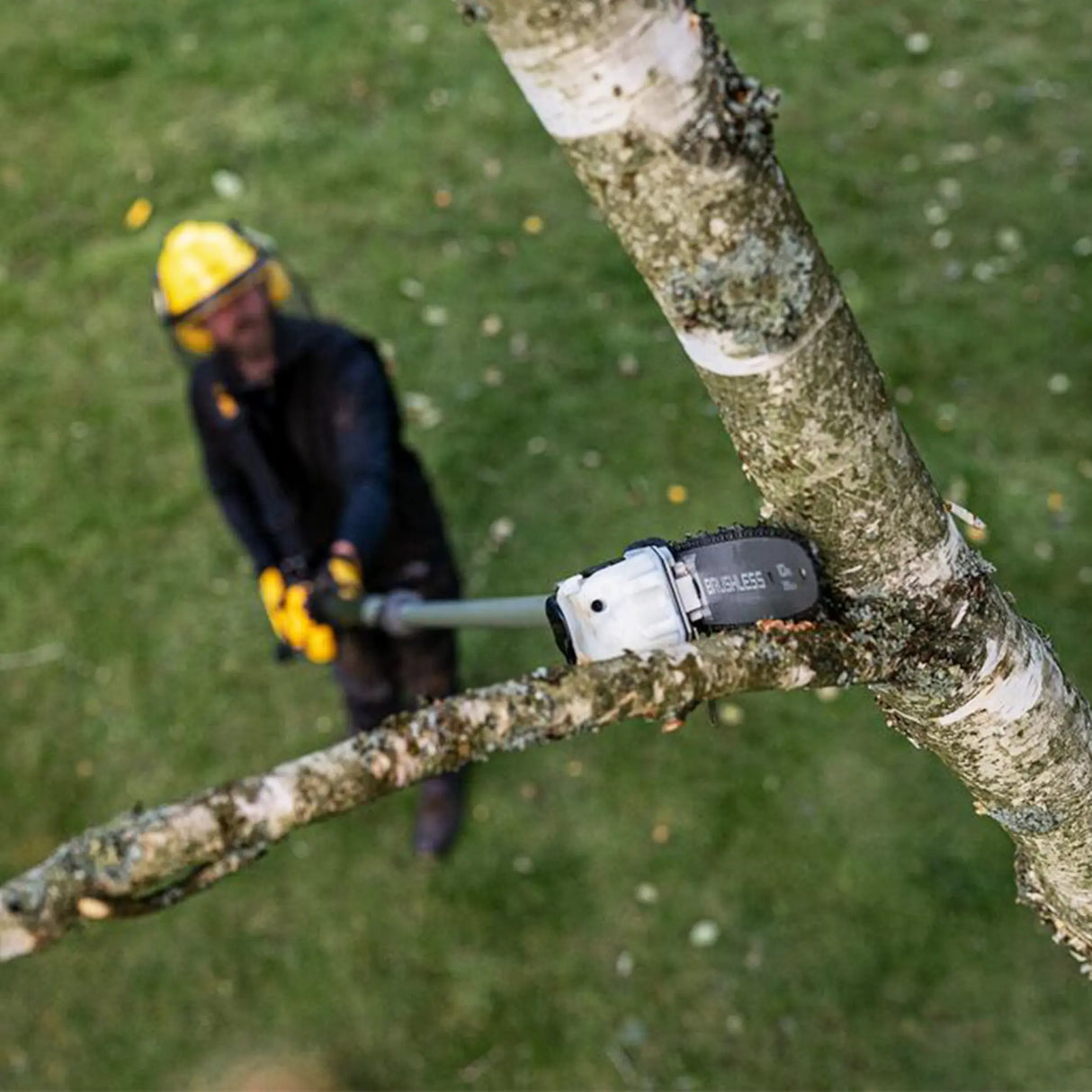 Tijeras de podar telescópicas Dewalt DCMPS635N-XJ 54V
