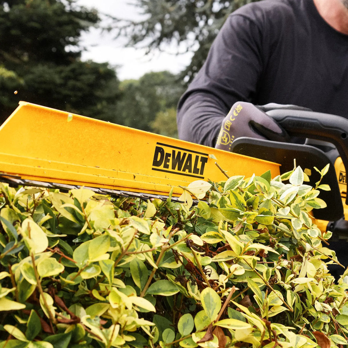 Tagliasiepi Dewalt DCMHT567P1-QW 18V 5Ah